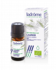 Buy Ladrôme essential oil of laurel online at Amanvida. Easily ordered and quickly delivered. 