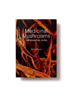Boek Medicinal Mushrooms / The essential guide kopen?