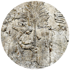 Nineveh: Een processie door dadelpalmbossen, een van 's werelds eerste gecultiveerde bomen.