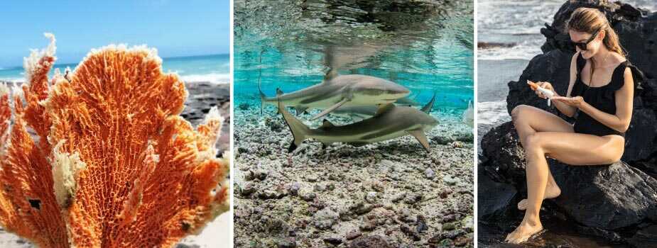 koraal, haaien en vrouw op rots die zich insmeert met zonnebrandcrème
